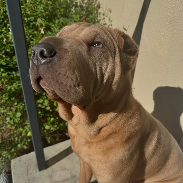  ......i.world   'recent posts' 