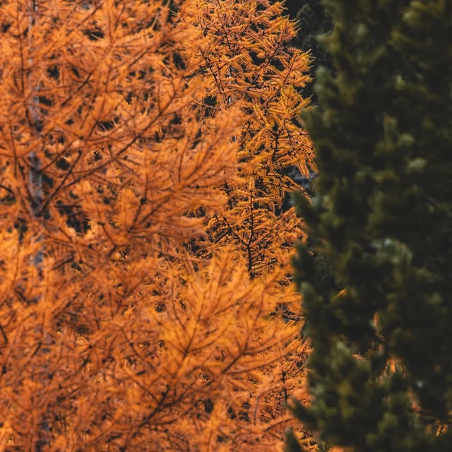  .......avelbook   'recent posts' 