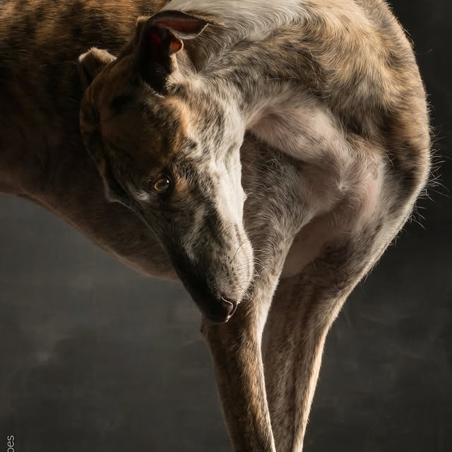  ..........hotography   'recent posts' 