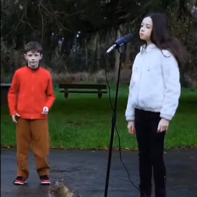  .........z.official   'recent posts' 