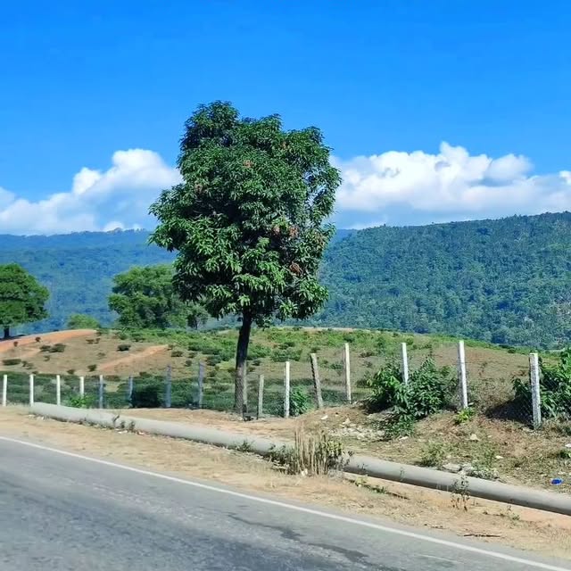  .....sumon_   'recent posts' 