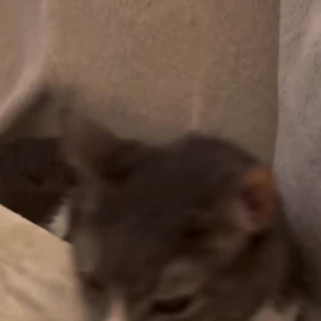  ......nd.kits   'recent posts' 