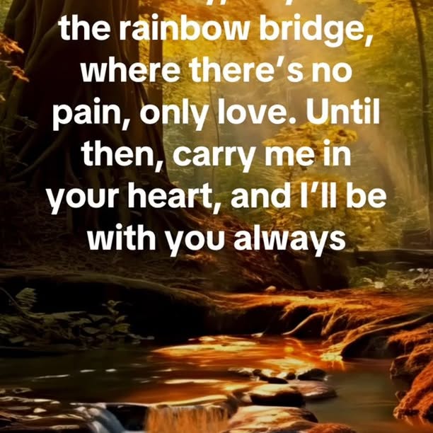  .....sland   'recent posts' 