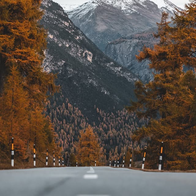  .......avelbook   'recent posts' 