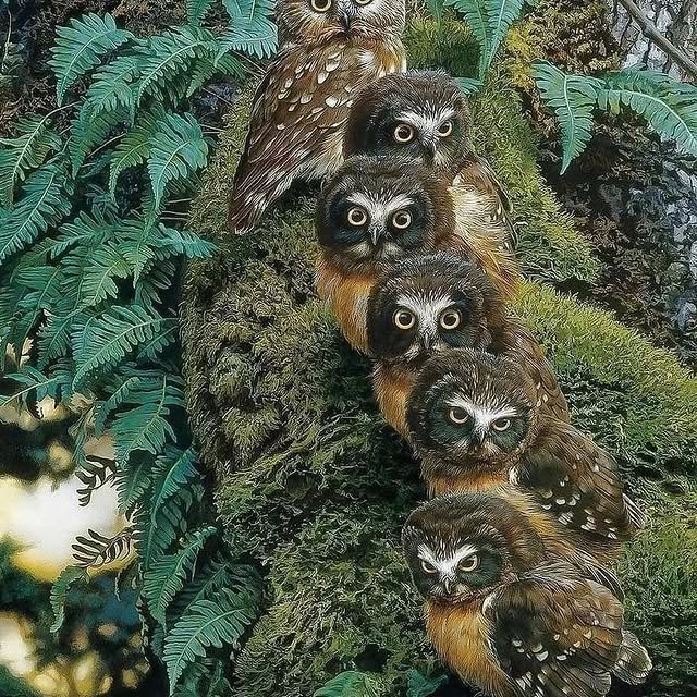  .........enture.in   'recent posts' 