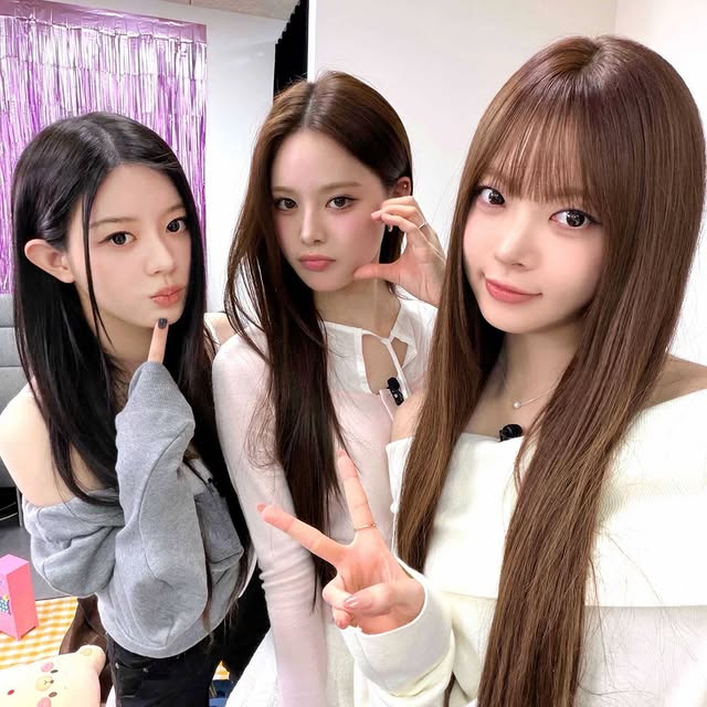  .......fimloops   'recent posts' 