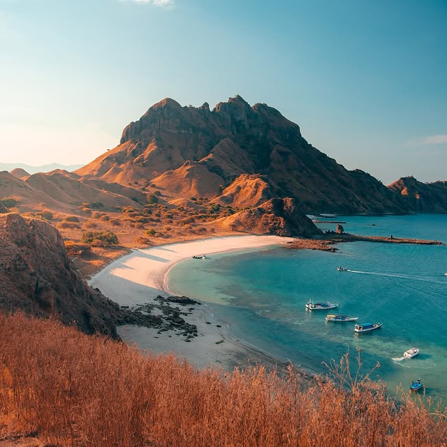  .....horpe   'recent posts' 