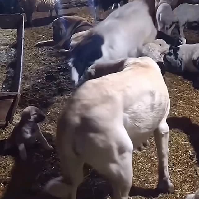  ........malsgram   'recent posts' 