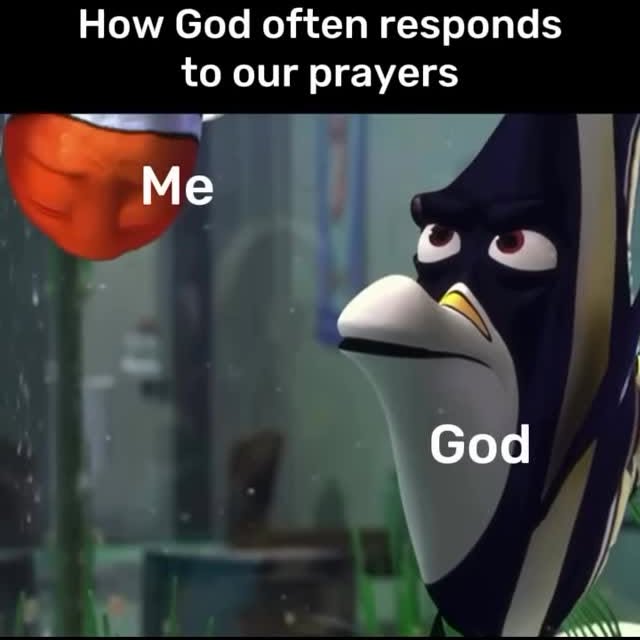  ..........nity.media   'recent posts' 