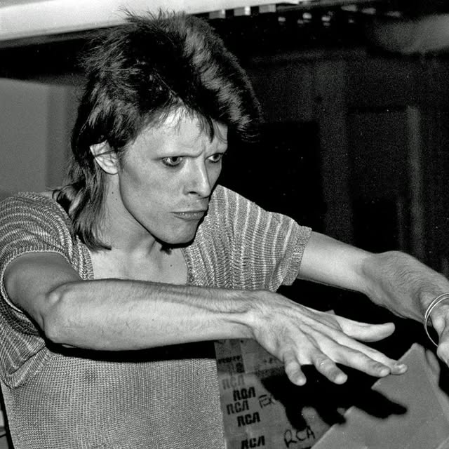  .......wiereal   'recent posts' 