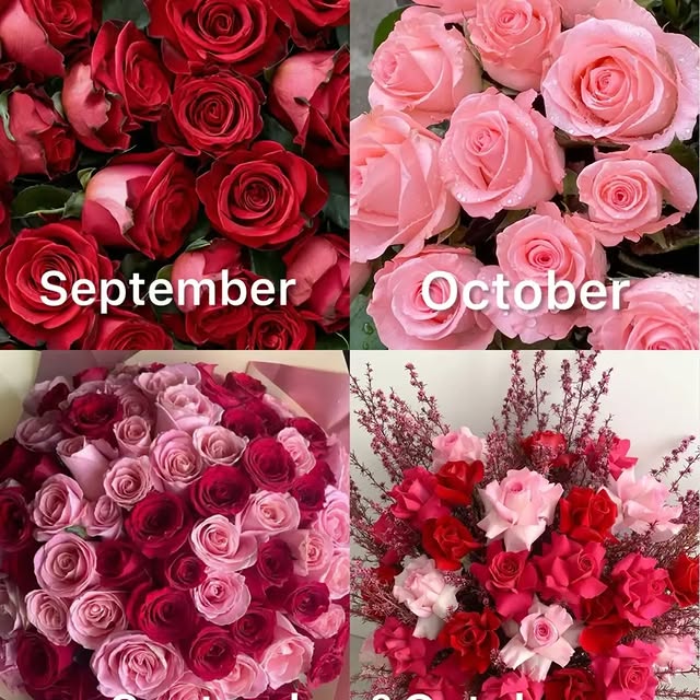  ....oful   'recent posts' 