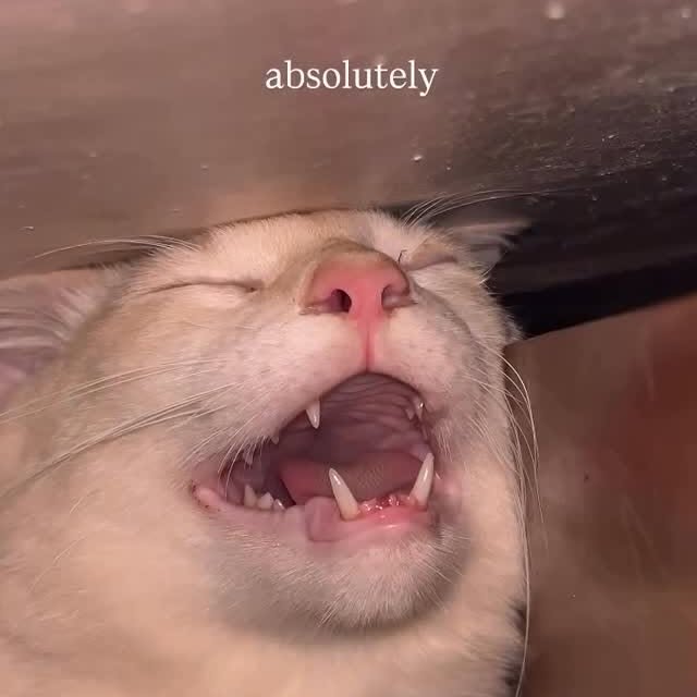  ...........irtonguesout   'recent posts' 