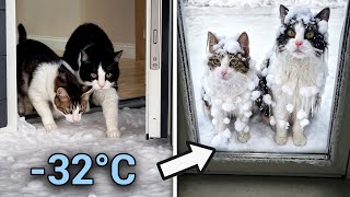  ....usic  'recent videos' 