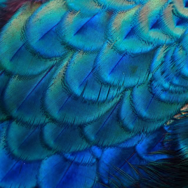  .....nnmon   'recent posts' 