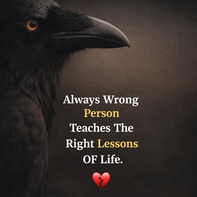  ............quotes_trends   'recent posts' 