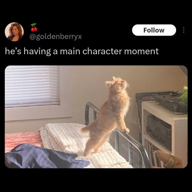  ............ttheinternet   'recent posts' 