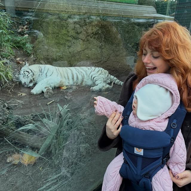  .....altair   'recent posts' 