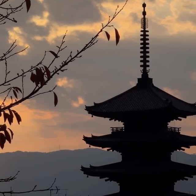  ....shova   'recent posts' 