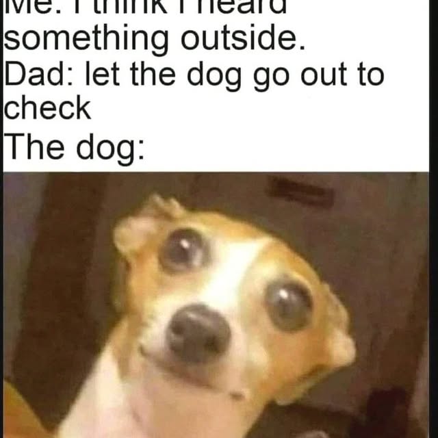  .......ndrulzz   'recent posts' 