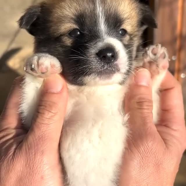  ......s.club   'recent posts' 