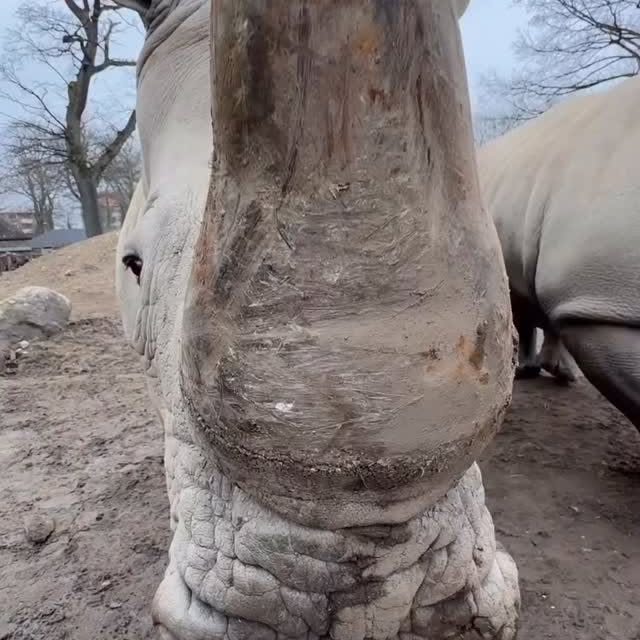  ........unlocked   'recent posts' 