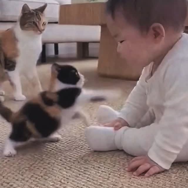  .....nly.ai   'recent posts' 