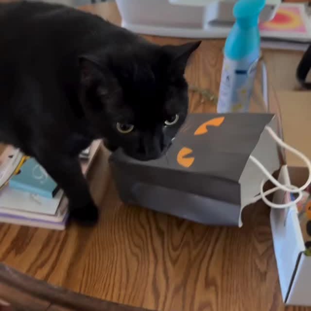  .......ats_club   'recent posts' 