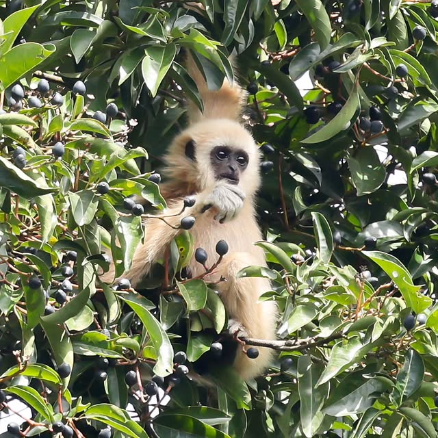  .....yland   'recent posts' 