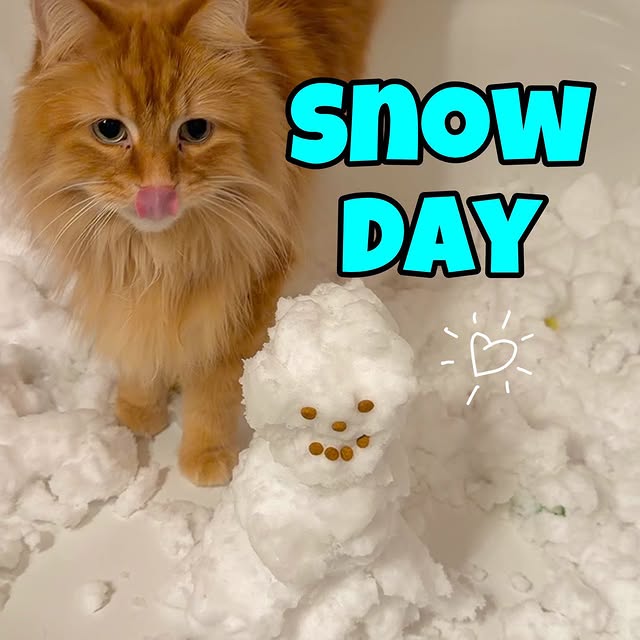  .........tofficial   'recent posts' 