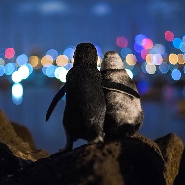  ......fervor   'recent posts' 