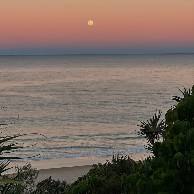  .....ecody   'recent posts' 