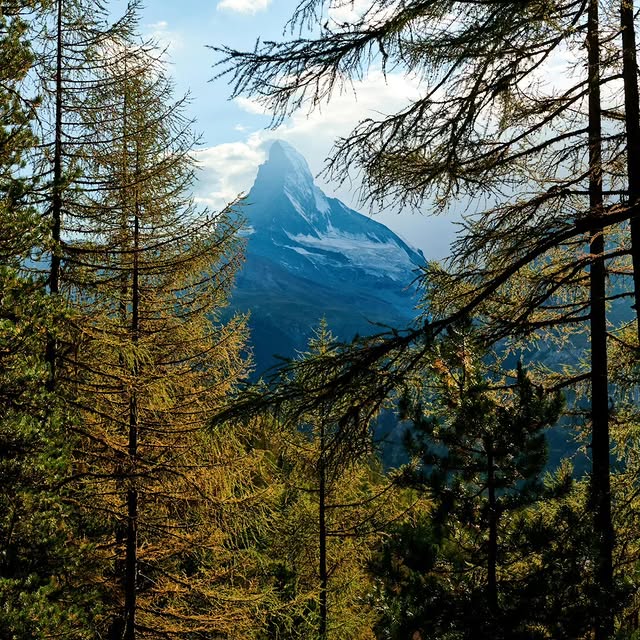  .......utevibes   'recent posts' 