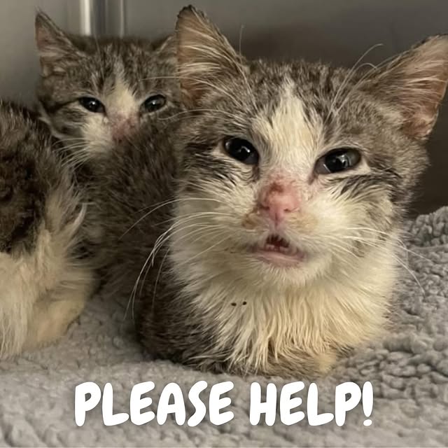  ......kekkek   'recent posts' 