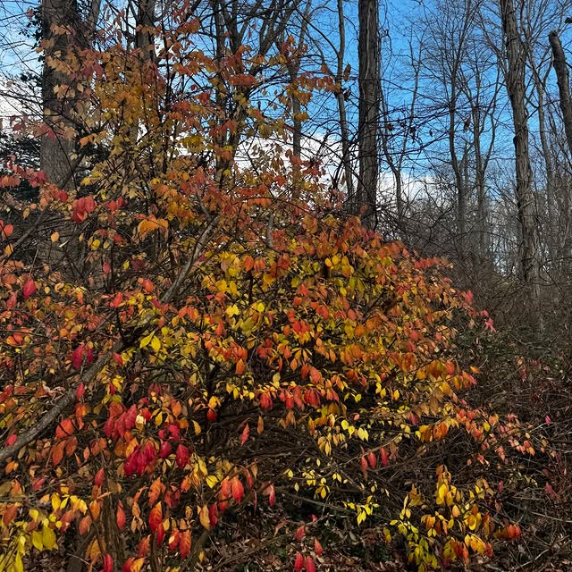  ......wallst   'recent posts' 