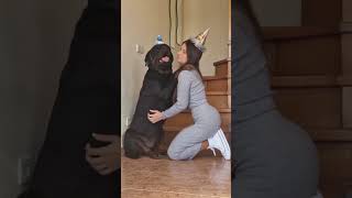  .......ler Life  'recent videos' 