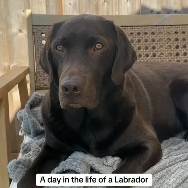  ....ofk9   'recent posts' 