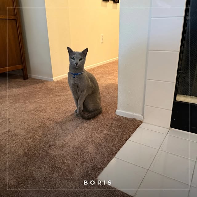  ......n_boris   'recent posts' 