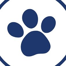 Hire .......heekclub influencer with 46.9k