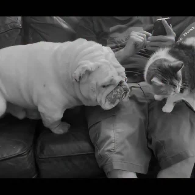  ......rwhite   'recent posts' 