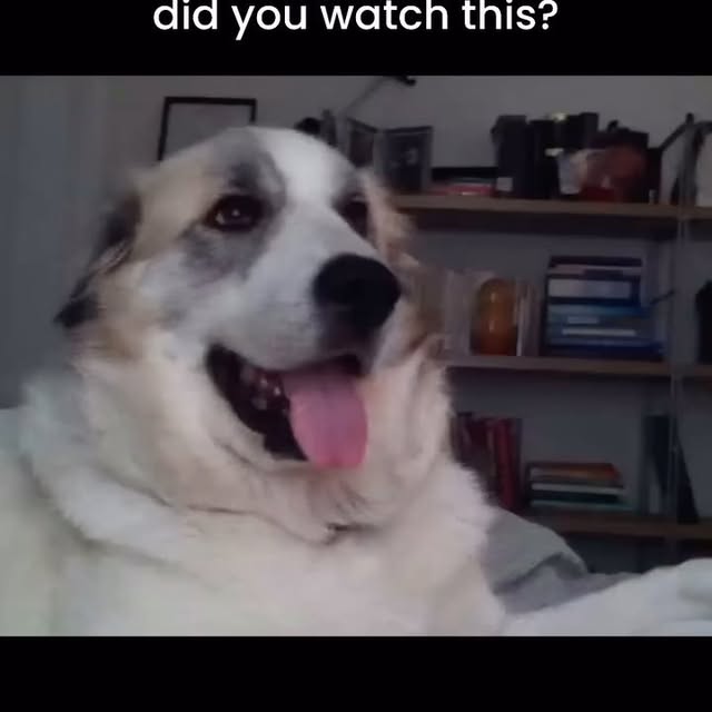  .....rarily   'recent posts' 