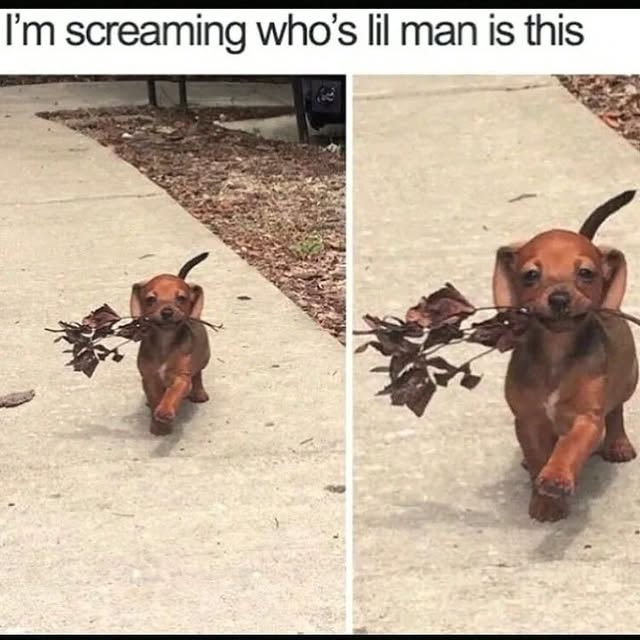  .......ndrulzz   'recent posts' 