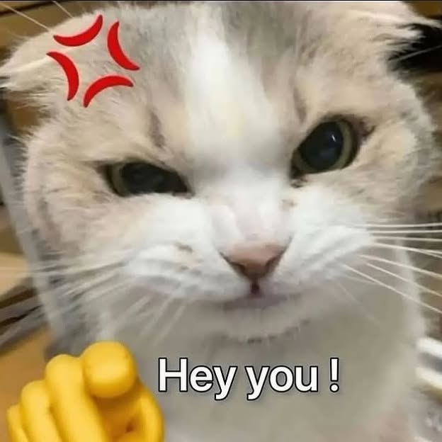  .....kuties   'recent posts' 