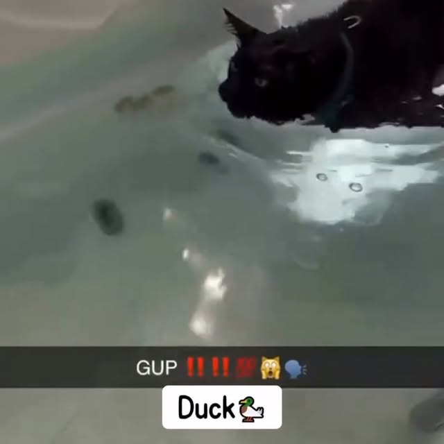  .......sinhome   'recent posts' 