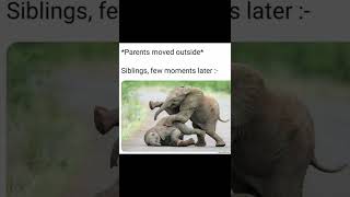  ...get  'recent videos' 