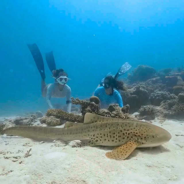  ......uecoast   'recent posts' 