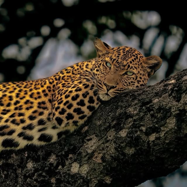  ......fehood   'recent posts' 