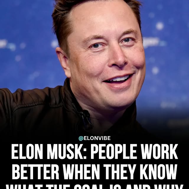  ....vibe   'recent posts' 