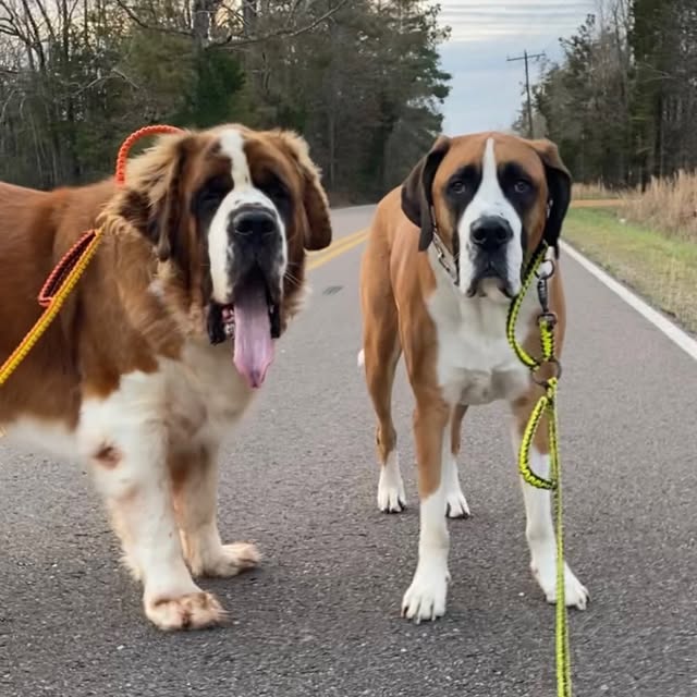  .........intbernard   'recent posts' 