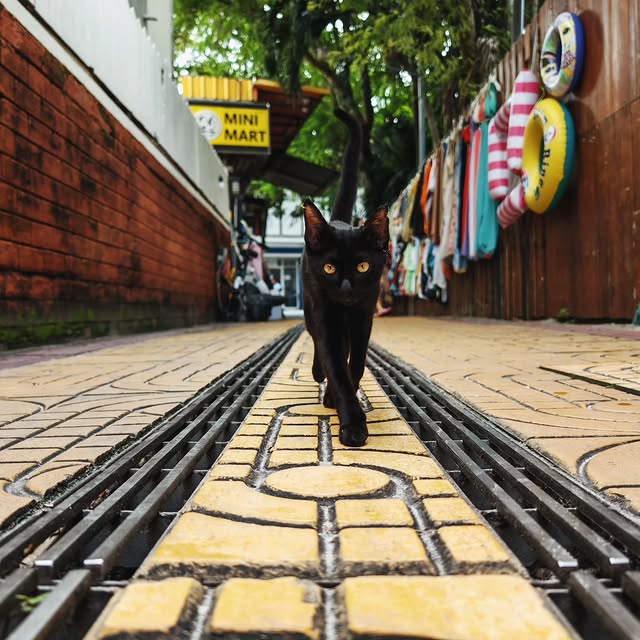  .....uslong   'recent posts' 