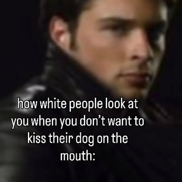  ....memes   'recent posts' 